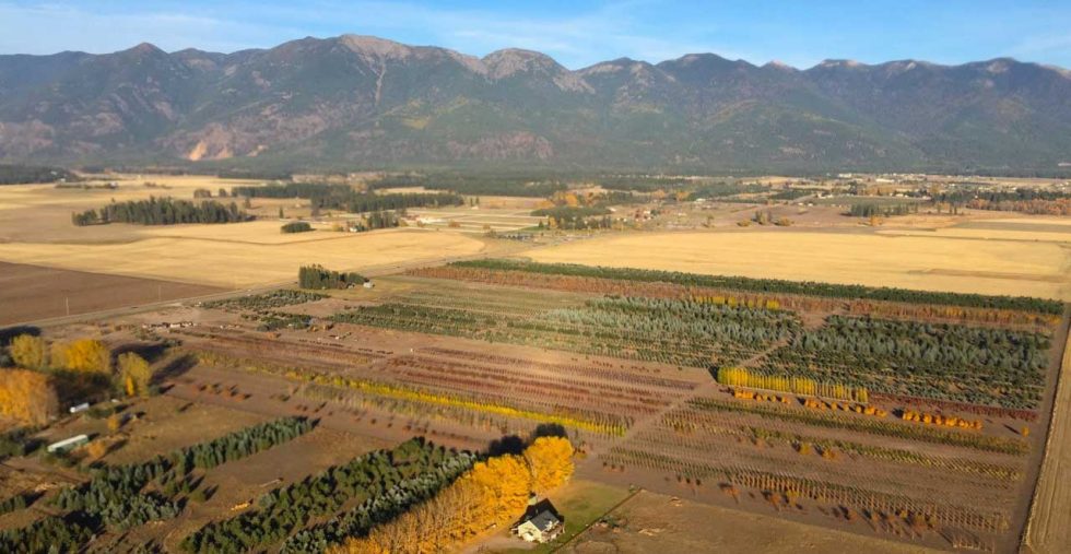 Home Four Seasons Nursery